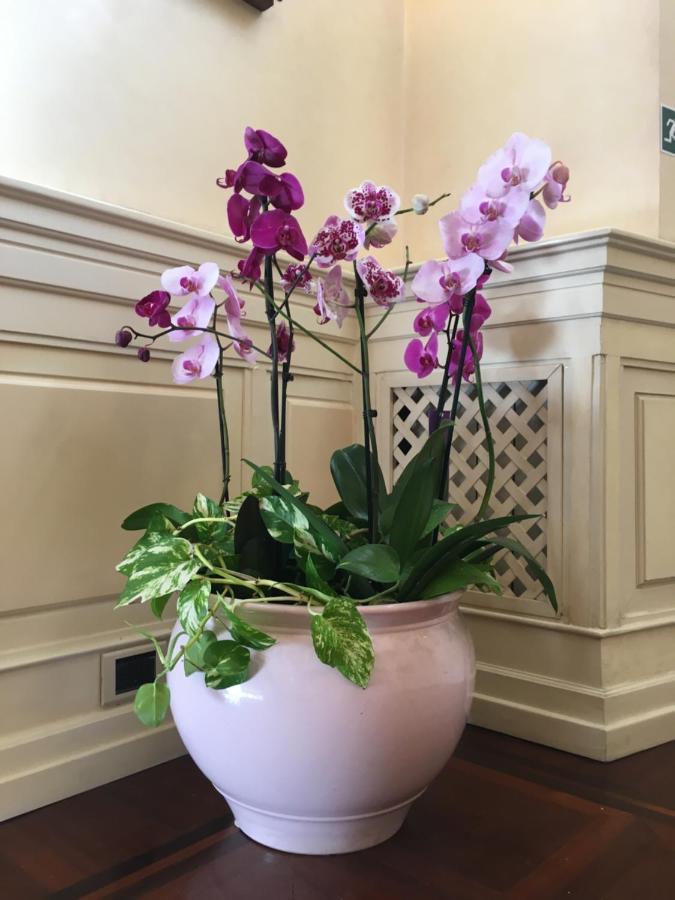 B&B Villino Margherita โรม ภายนอก รูปภาพ